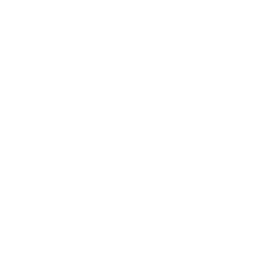 Image Icon
